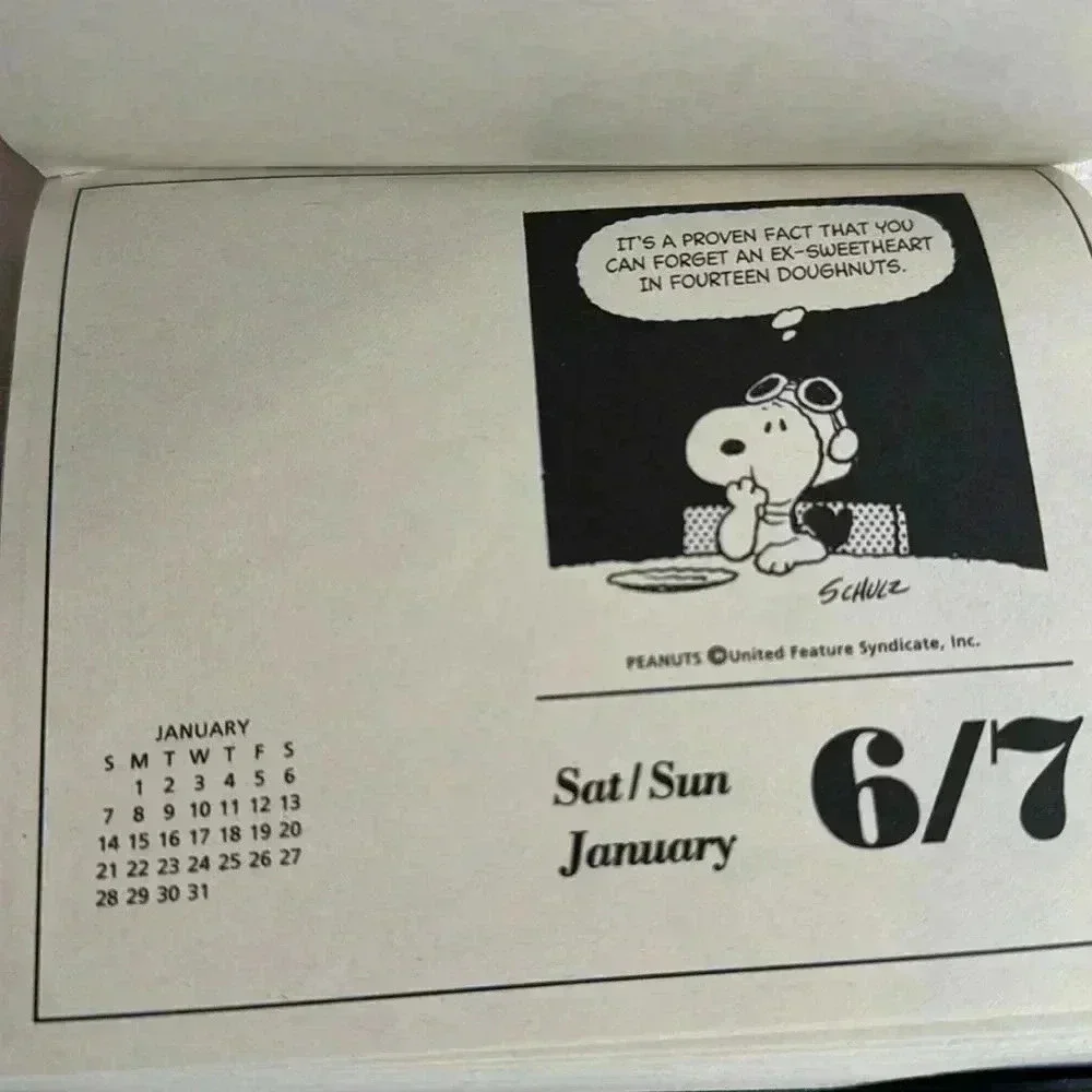 Peanuts Snoopy 1996 Hallmark Daily Calendar Vintage UFS- never‎ used